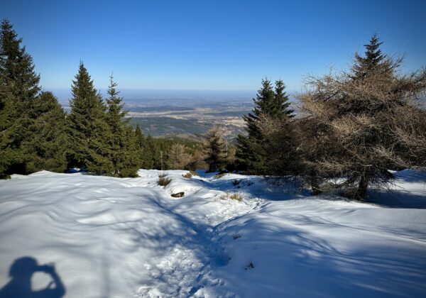 Green snow wet