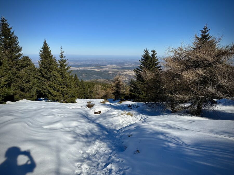 Green snow wet