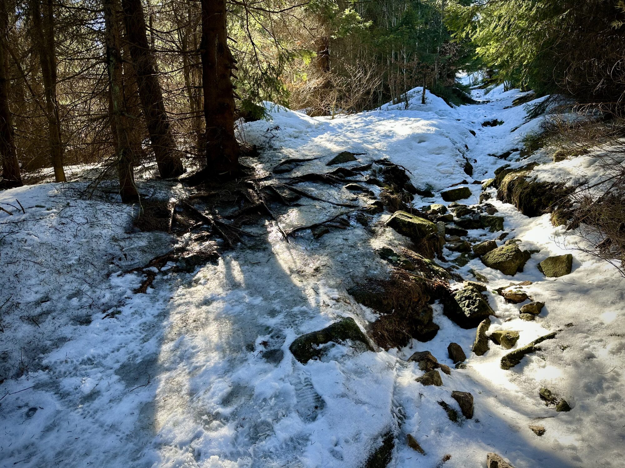 All kinds of wet snow